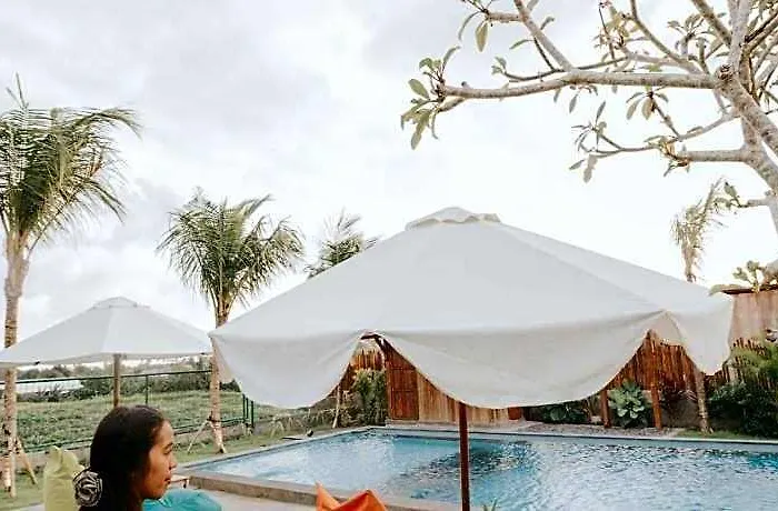 Paddys Glamping Cemagi