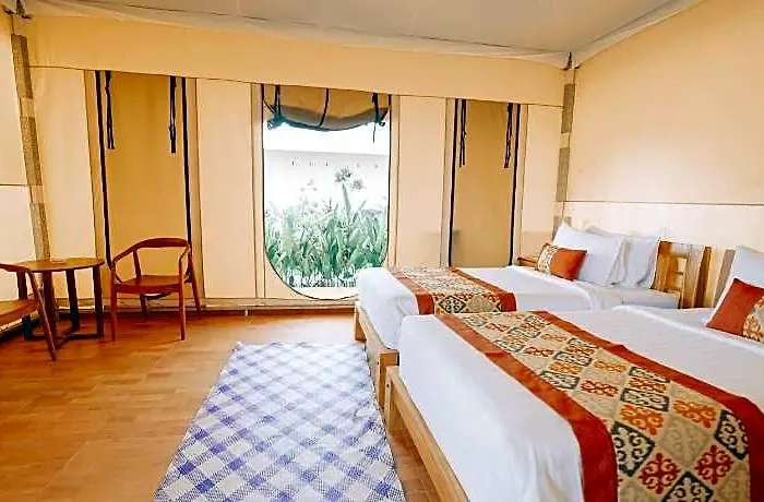 Hotel Paddys Glamping 3*
