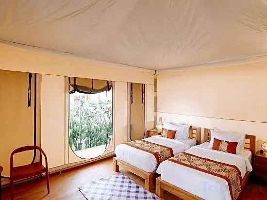 Paddys Glamping 3*