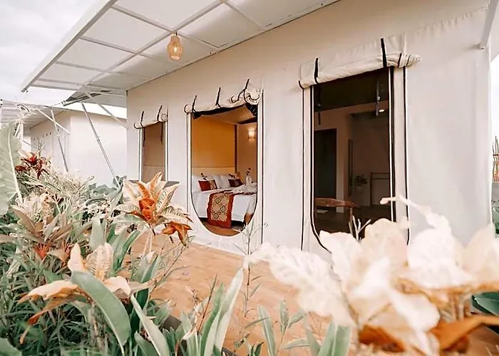 Paddys Glamping Hotel 3*