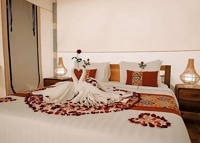 Hotel Paddys Glamping 3*